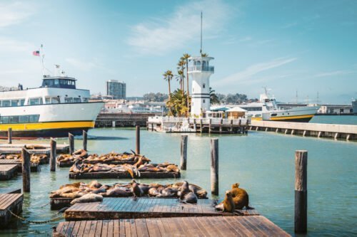 Pier 39 in San Francisco
