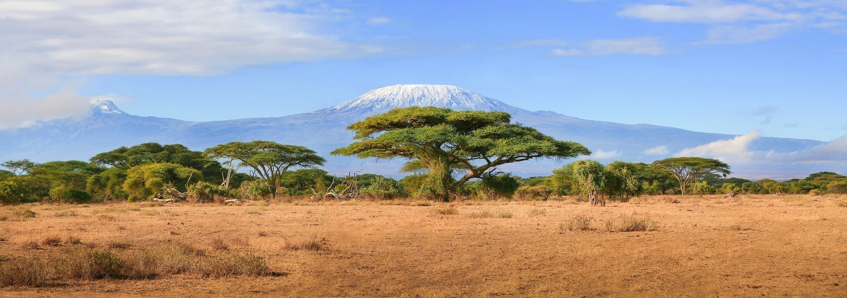 Wohin in Afrika