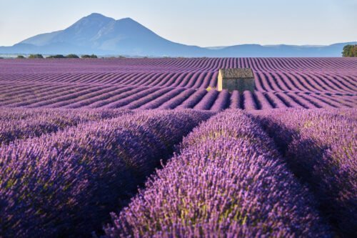 Die Provence