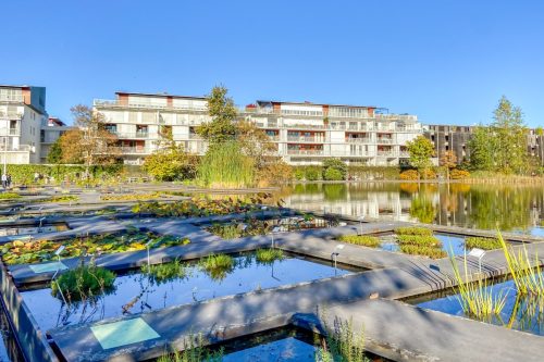 Der Botanische Garten